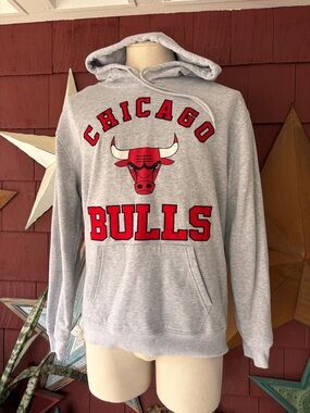 Vintage 00s Chicago Bulls Ultra Game Nba Double-Sided Gray Hoodie Men’s Size L
